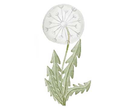 souls 0001 intentions